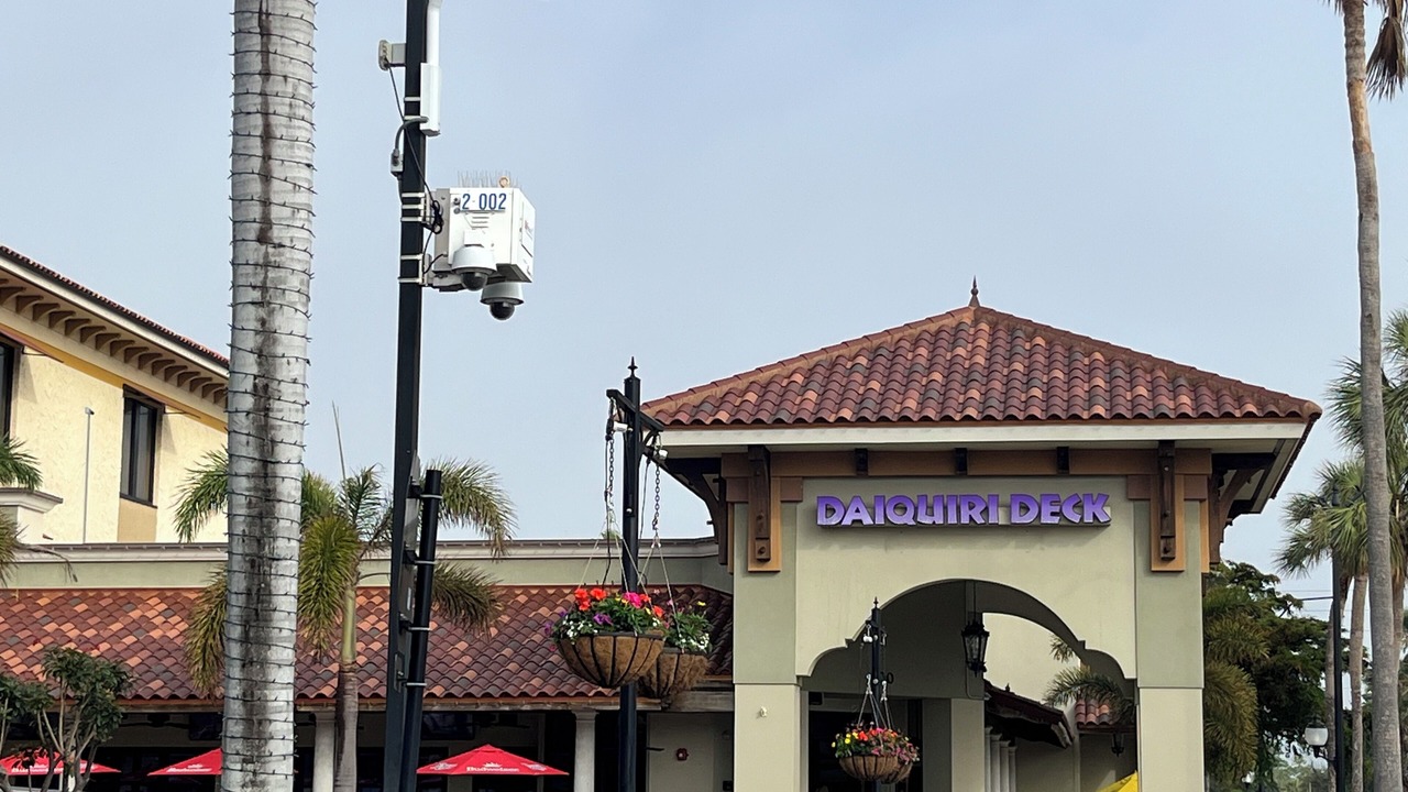 Photo of Others in Venice Gardens