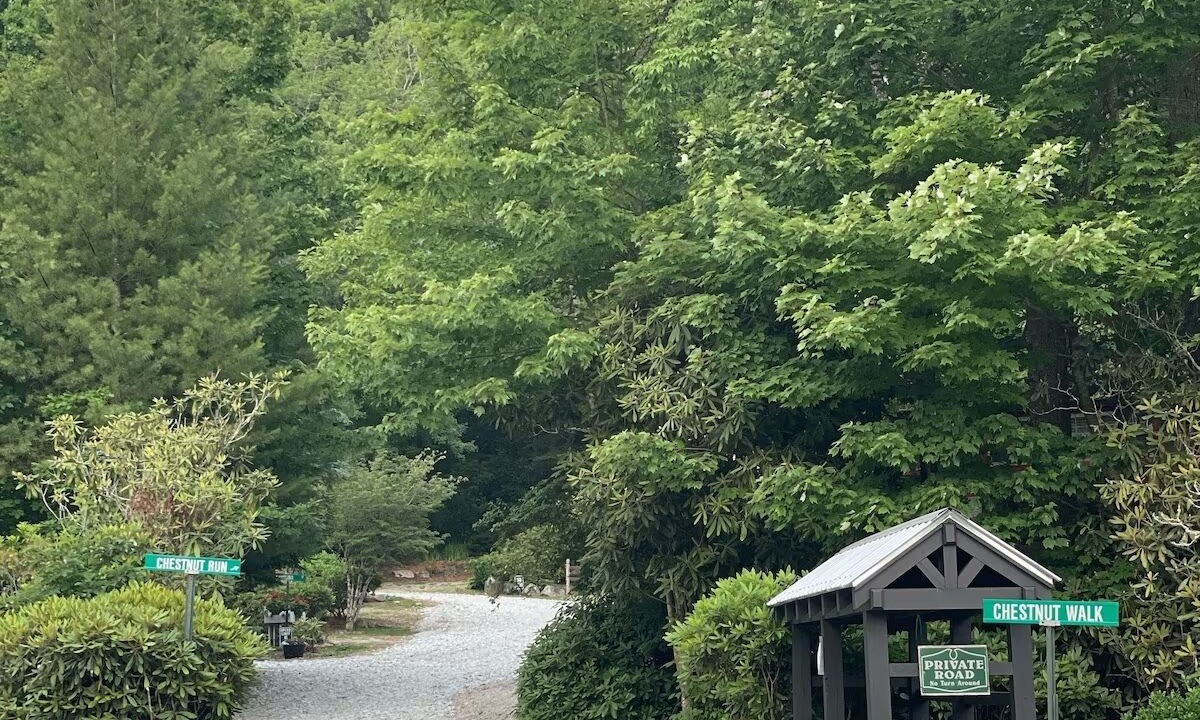 Photo of Others in Highlands