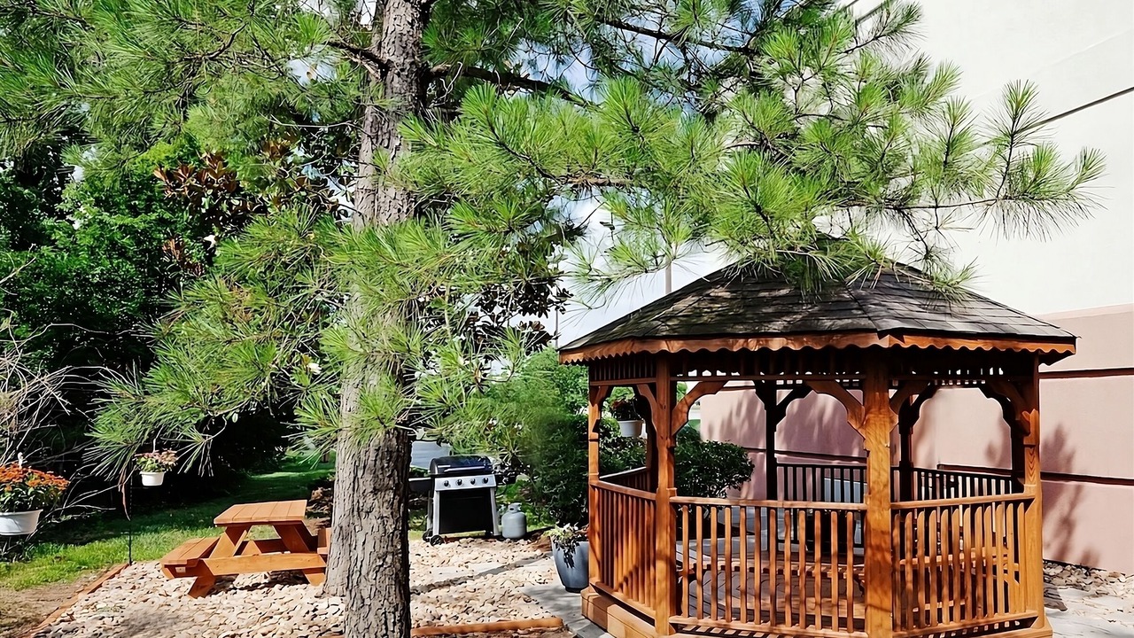 Photo of Patio Balcony in Ashley Oaks