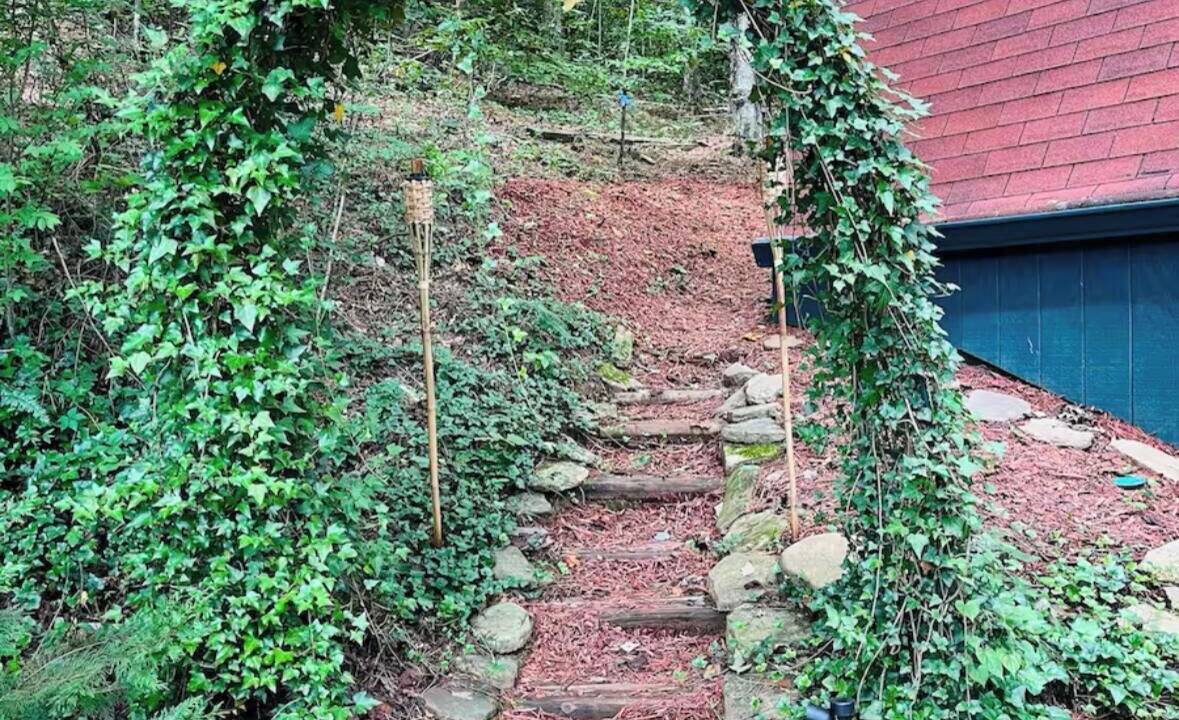 Photo of Outdoor in Rosman