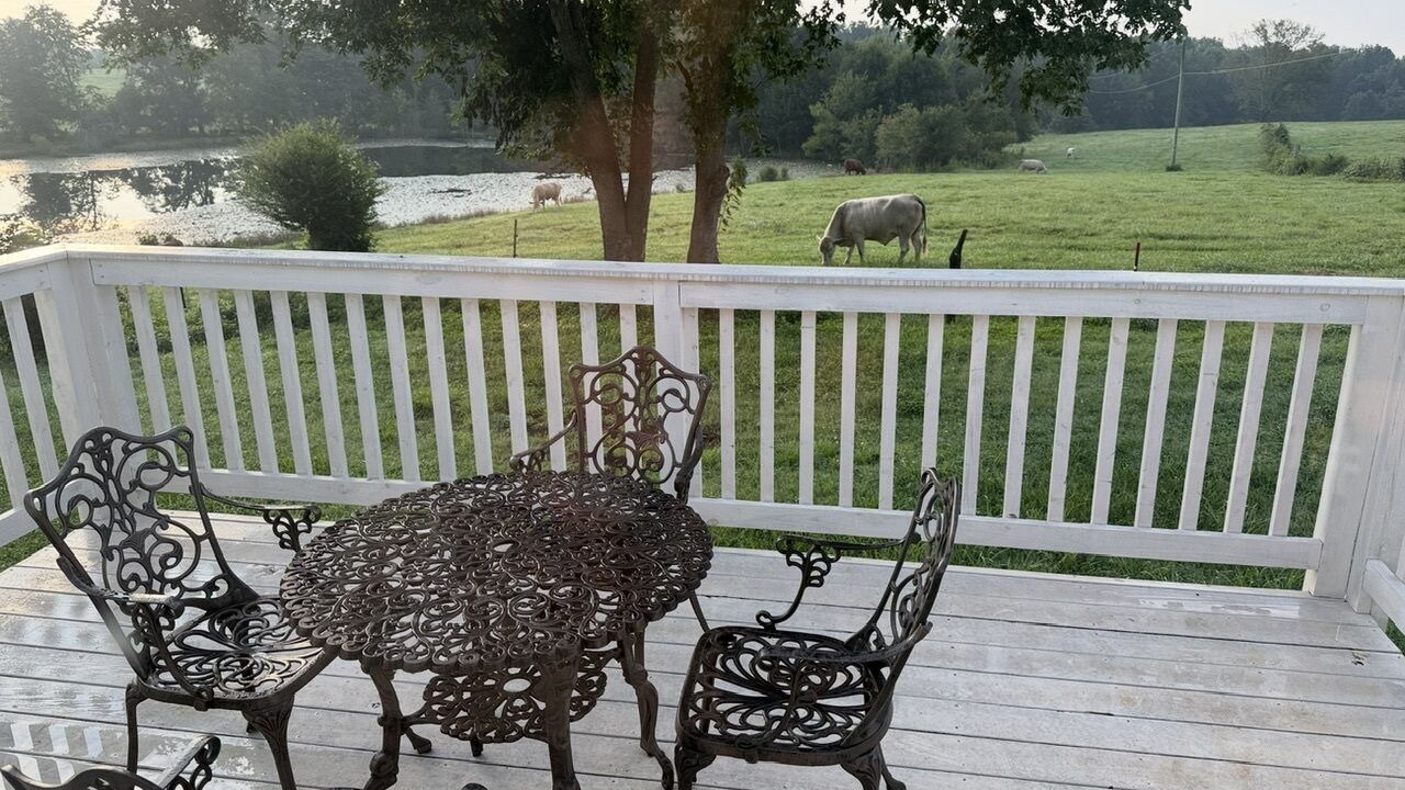 Photo of Outdoor in Greer