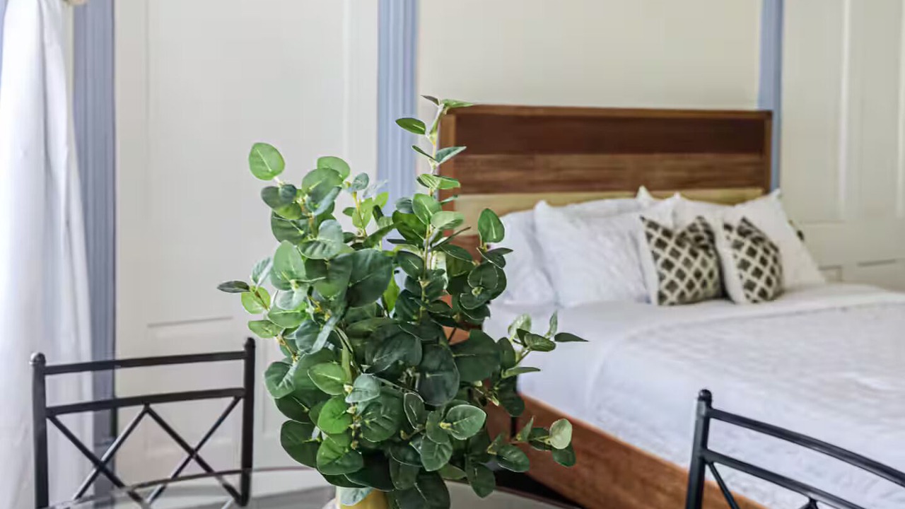 Photo of Bedroom in Dixon Park