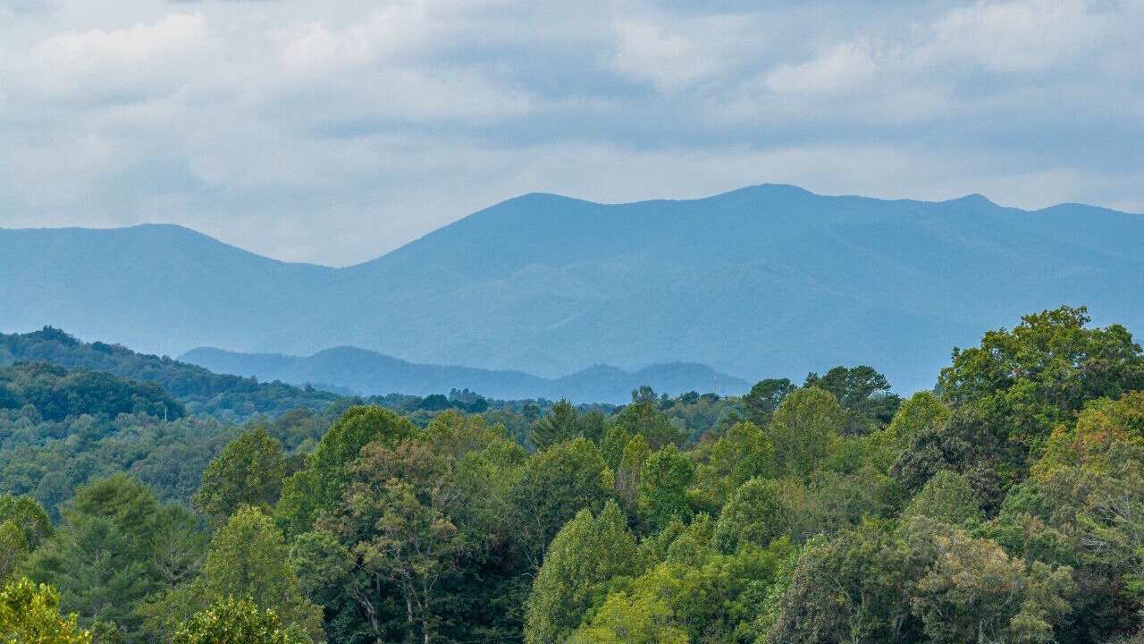 Photo of Others in Franklin