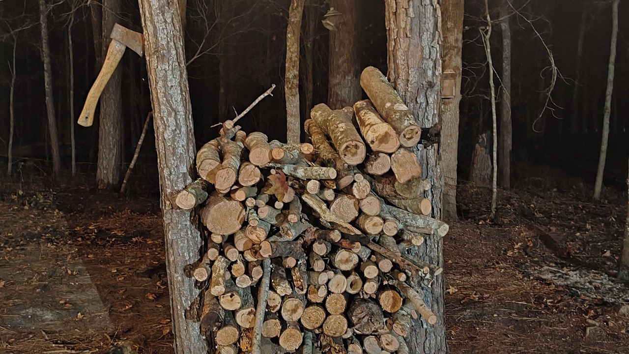 Photo of Others in Brooklet