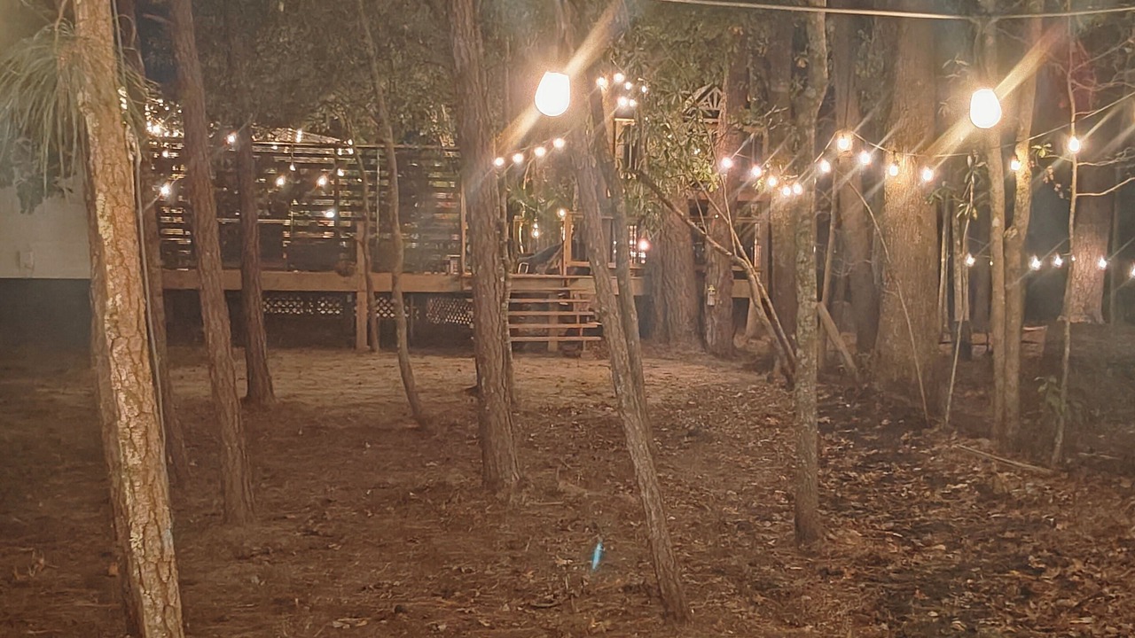 Photo of Outdoor in Brooklet