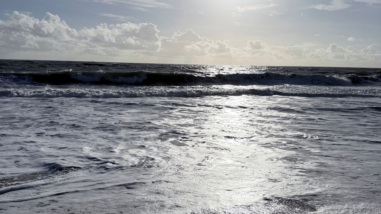 Photo of Others in Indian River Shores