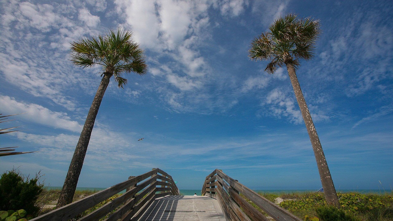 Photo of Others in Saint Armands Key