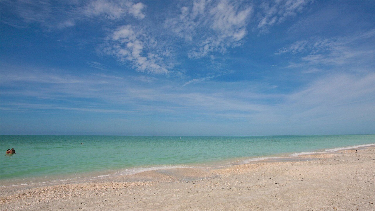 Photo of Others in Saint Armands Key