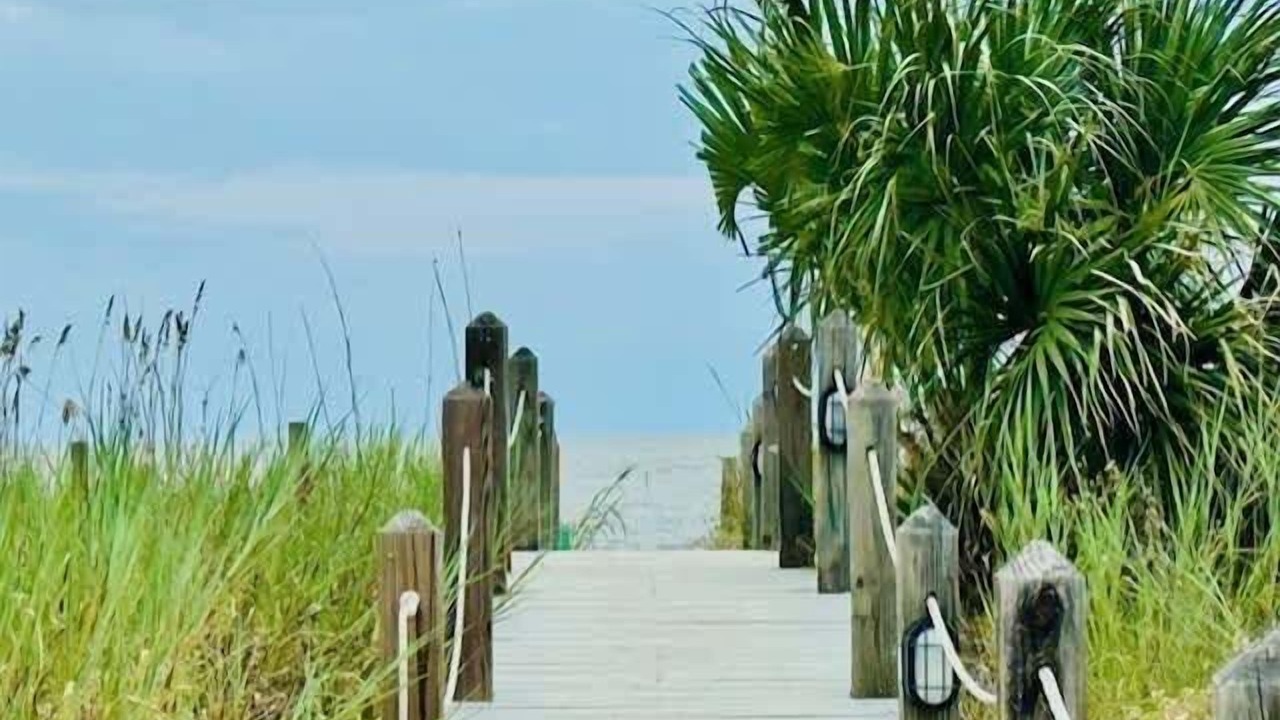 Photo of Others in Daufuskie Island