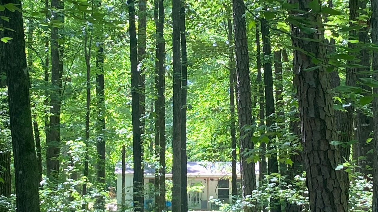 Photo of Outdoor in Martin