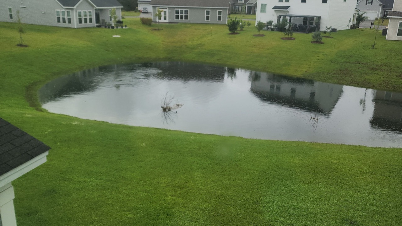 Photo of Outdoor in Port Wentworth