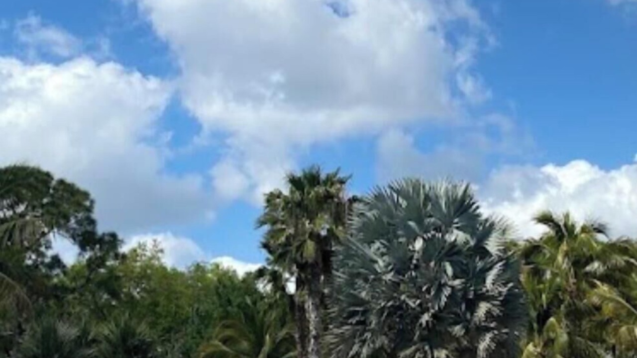 Photo of Outdoor in Ole