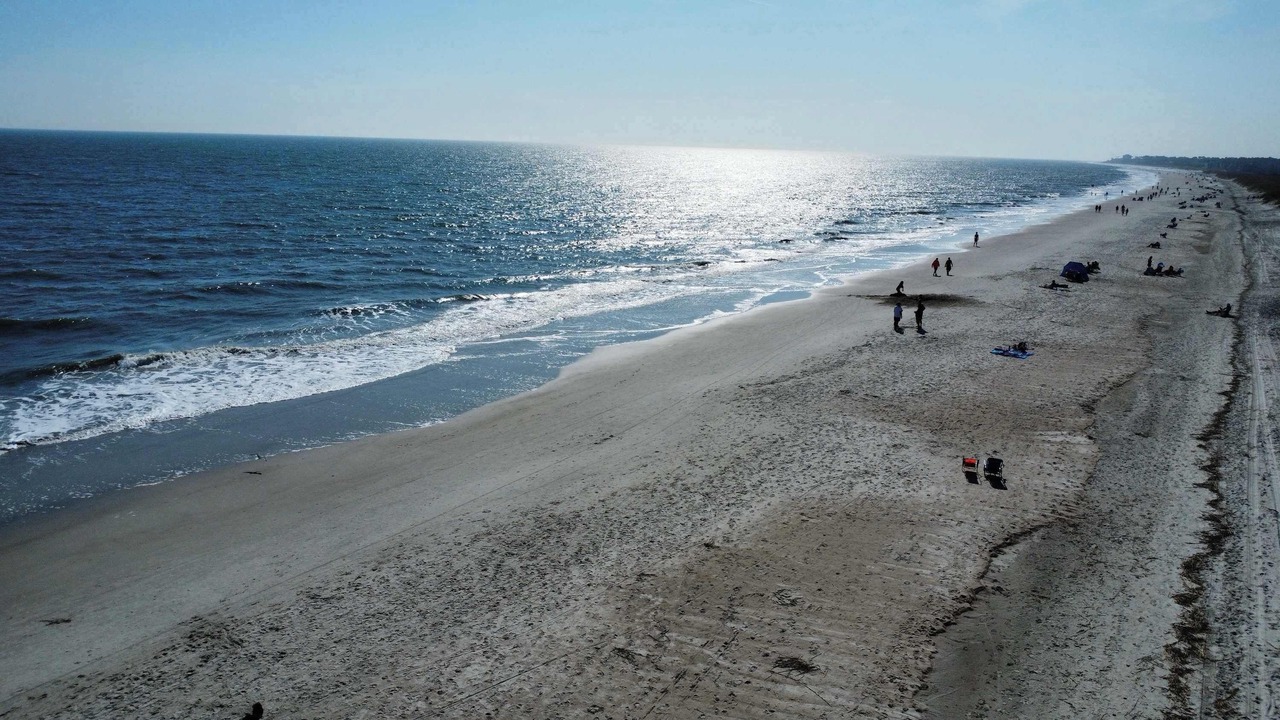 Photo of Others in Folly Field