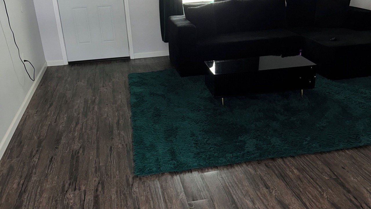 Photo of Livingroom in South Bradenton