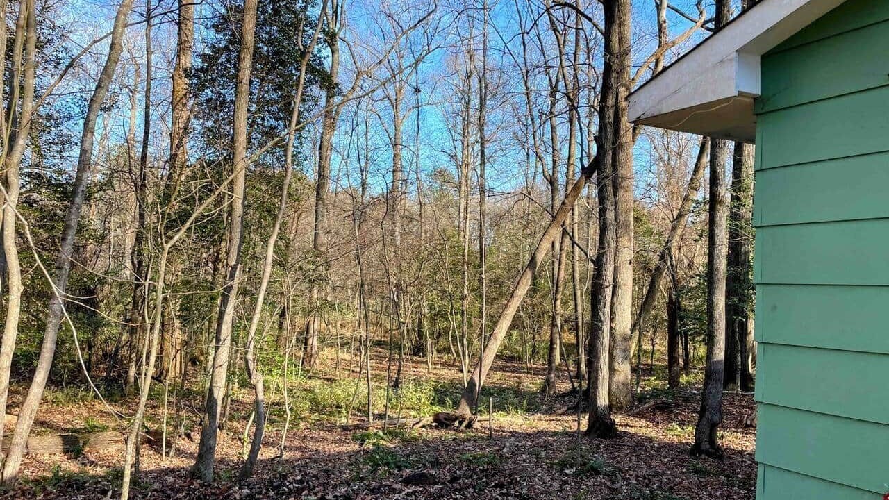 Photo of Outdoor in Apex