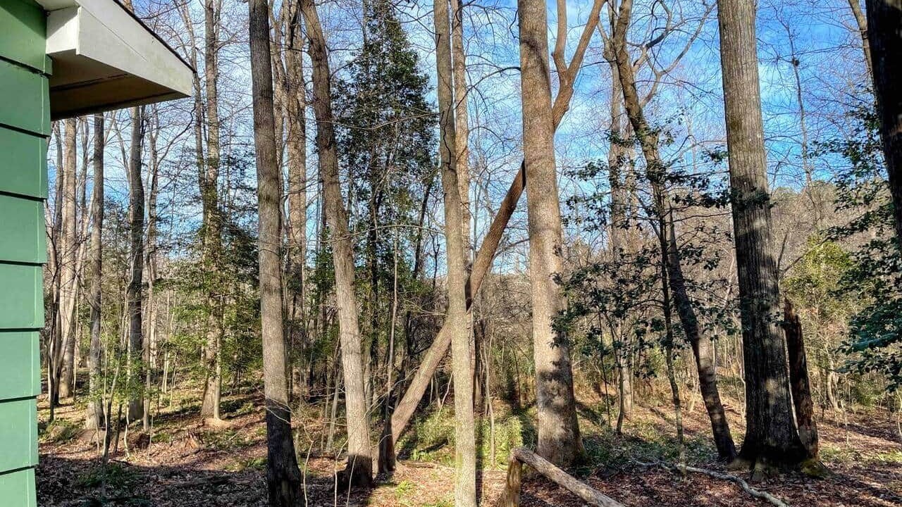Photo of Outdoor in Apex