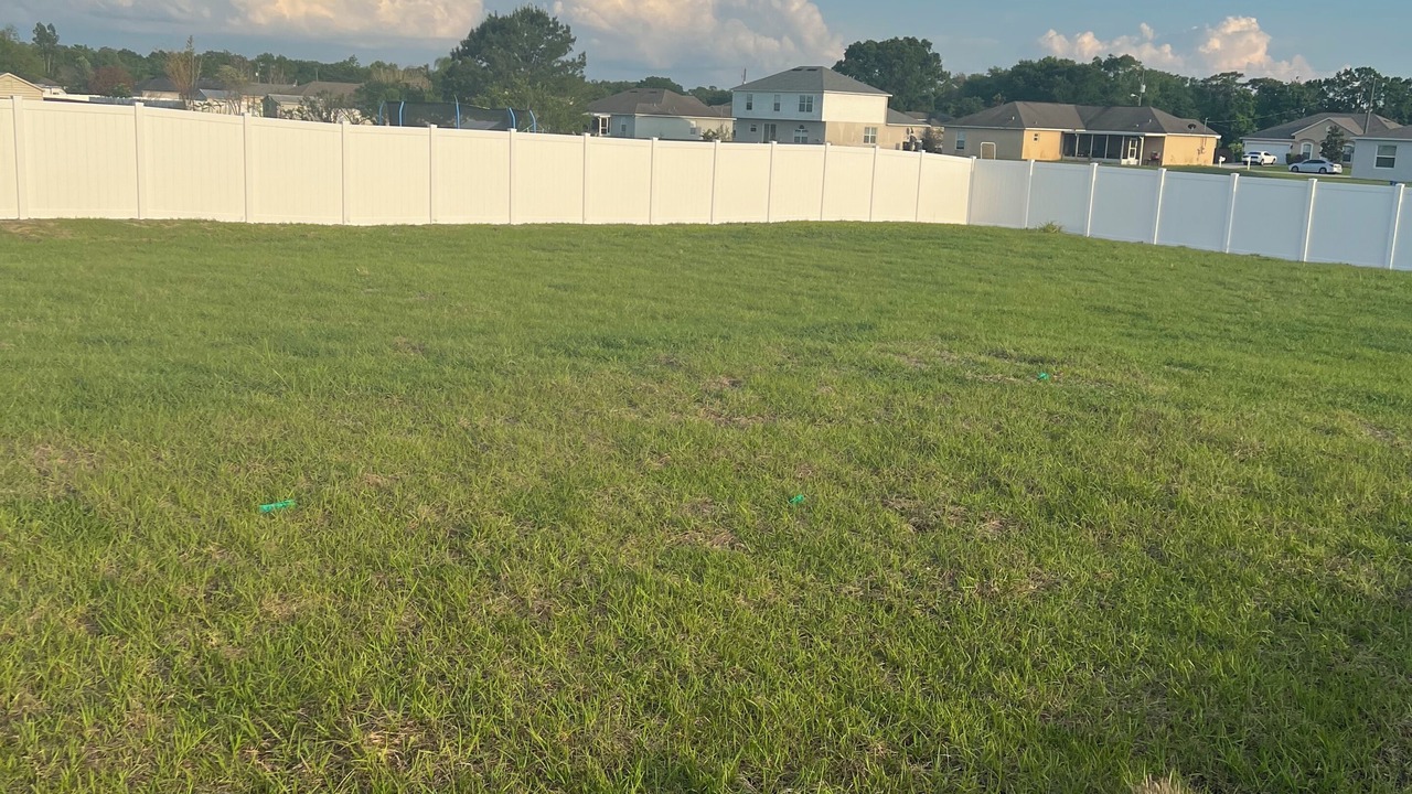 Photo of Outdoor in Lakeland - Winter Haven