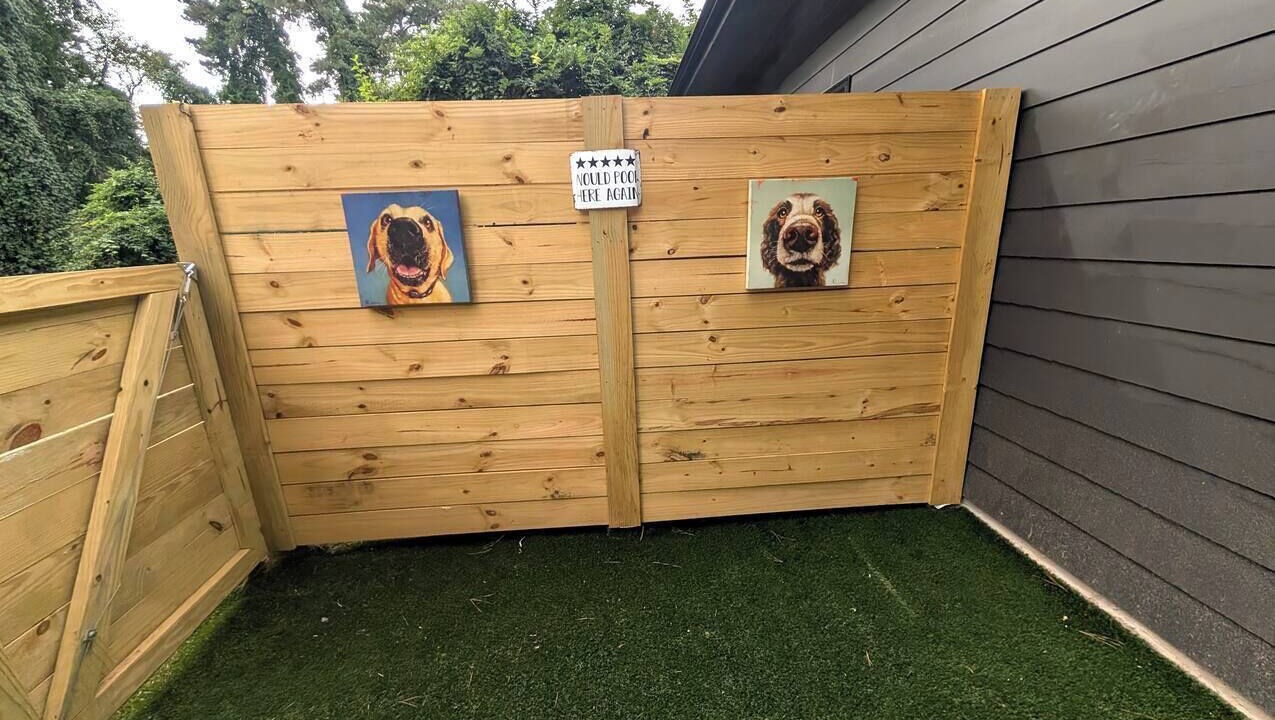 Photo of Outdoor in Southeast Raleigh