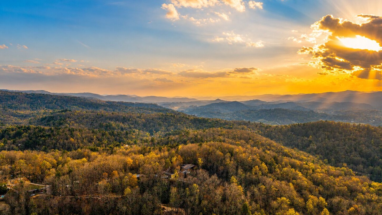 Photo of Others in Pisgah Forest