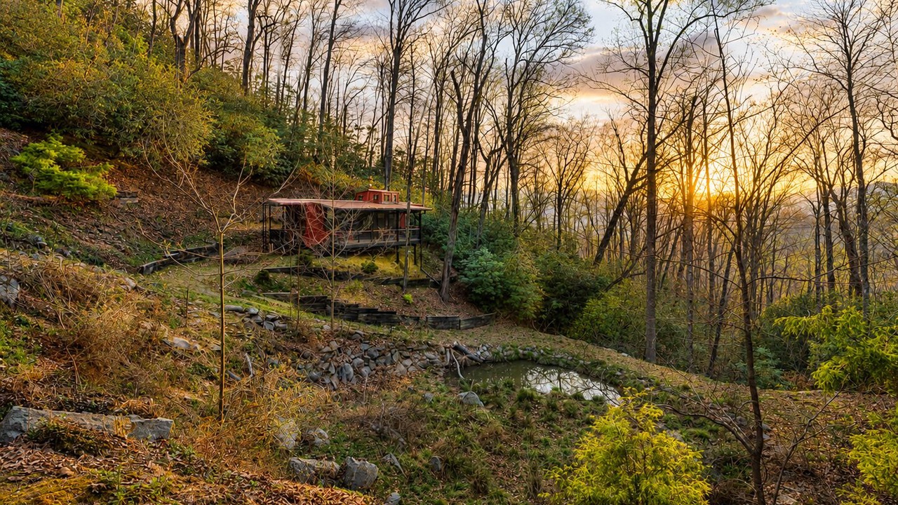 Photo of Outdoor in Pisgah Forest
