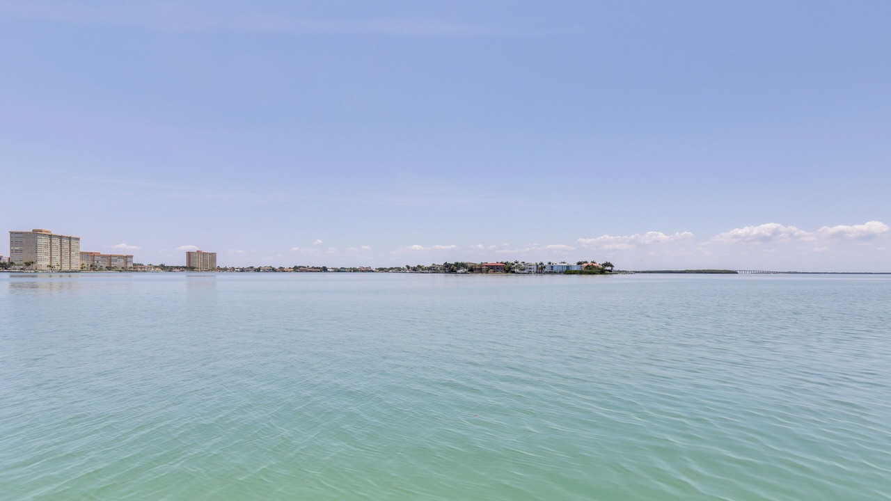 Photo of Others in Palma del Mar