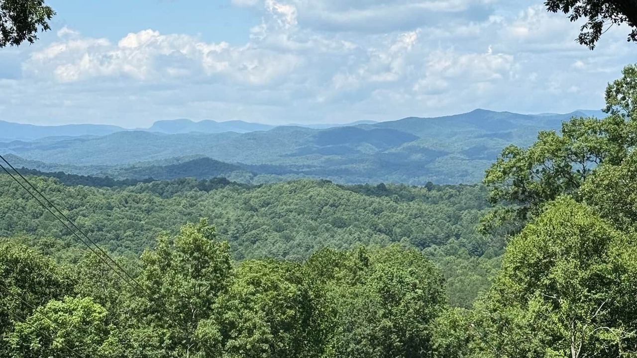 Photo of Others in Pisgah Forest