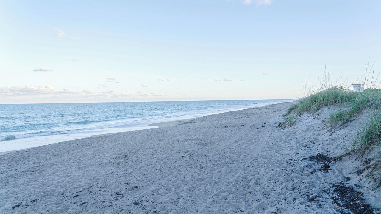 Photo of Others in Jensen Beach