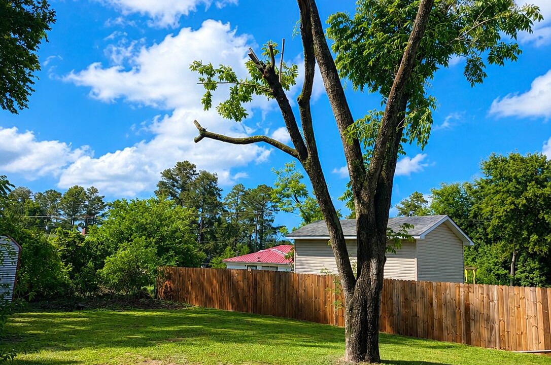 Photo of Outdoor in Belvedere