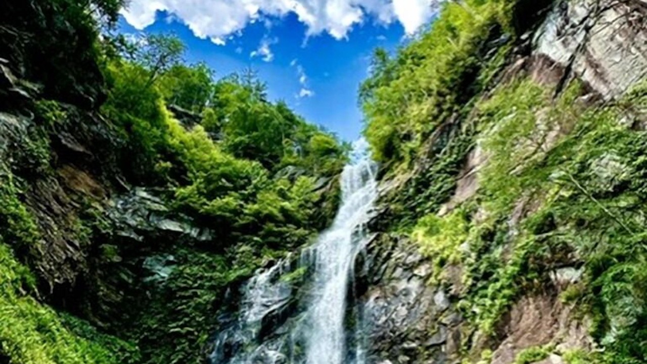 Photo of Others in Tuckasegee