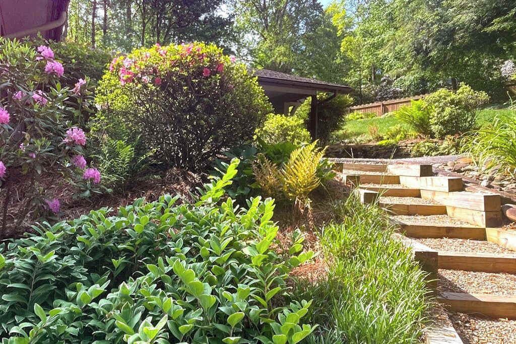 Photo of Outdoor in Pisgah Forest