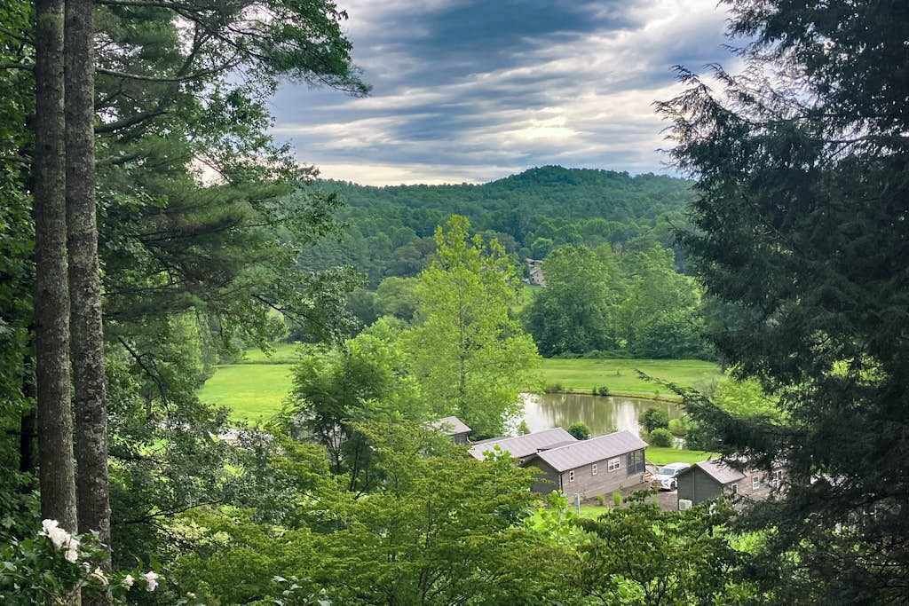 Photo of Others in Pisgah Forest