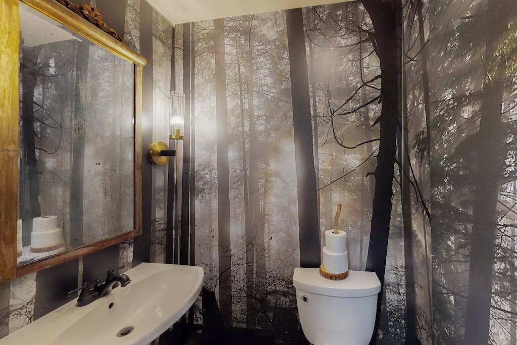 Photo of Bathroom in Pisgah Forest