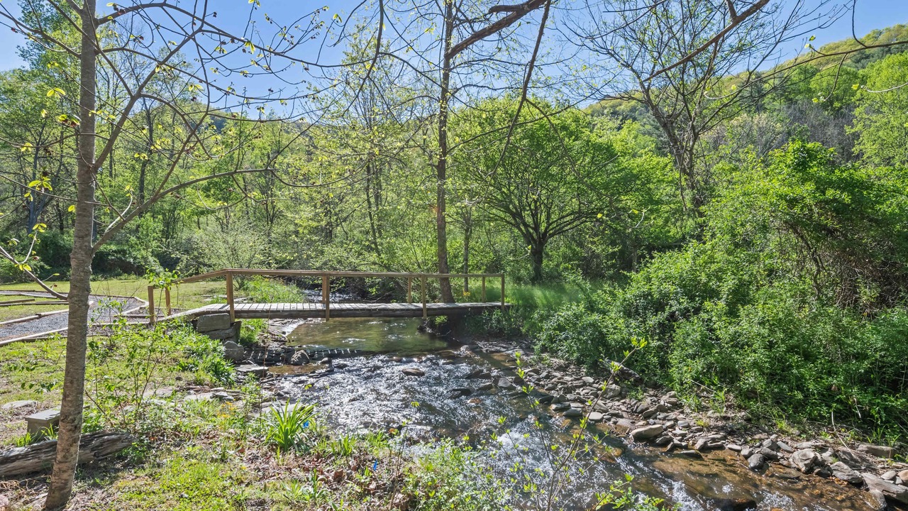 Photo of Others in Cullowhee