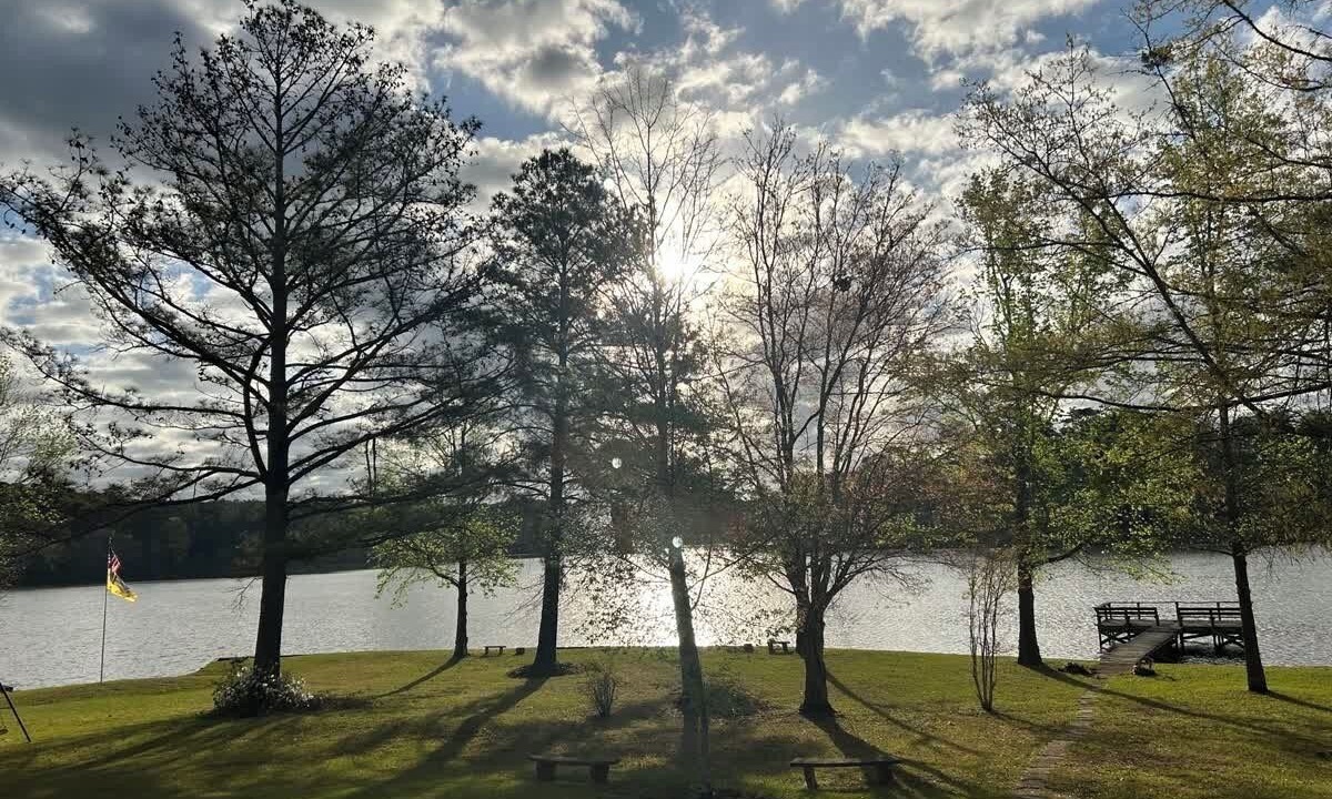 Photo of Others in Milledgeville