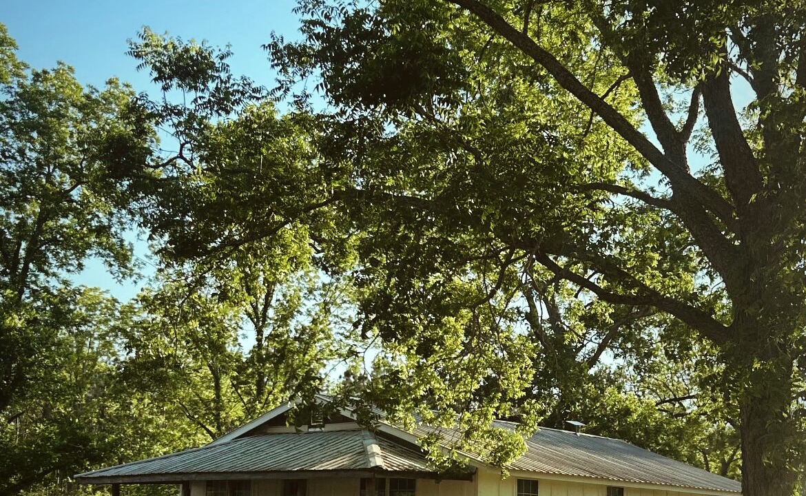 Photo of Outdoor in Appling County
