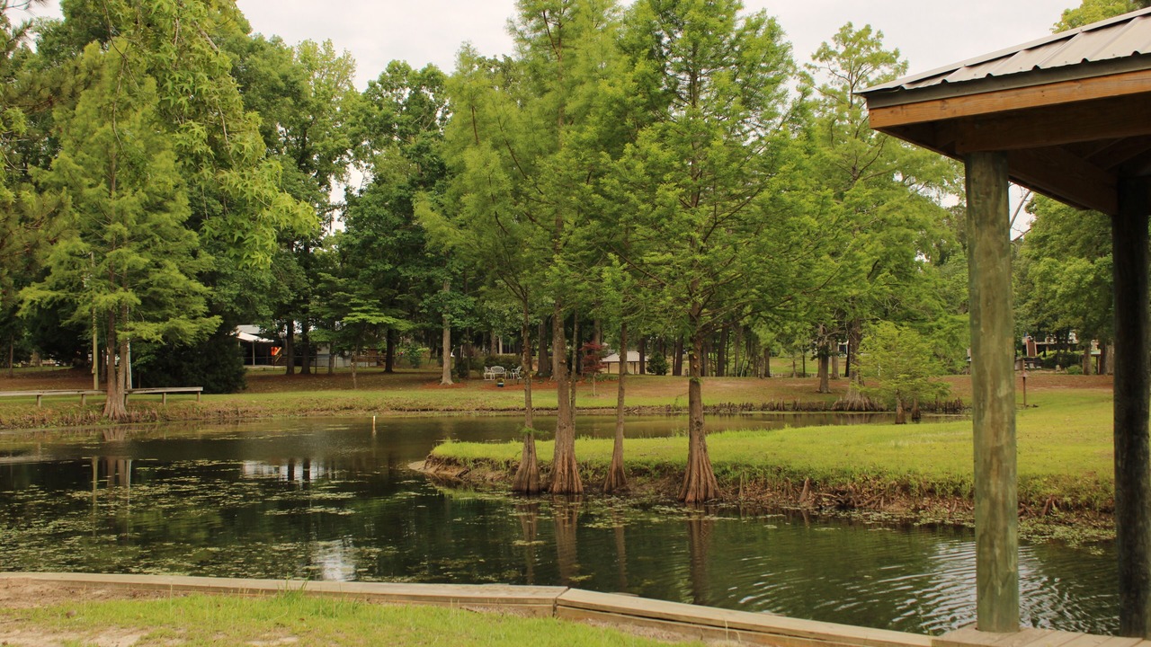 Photo of Outdoor in Manning