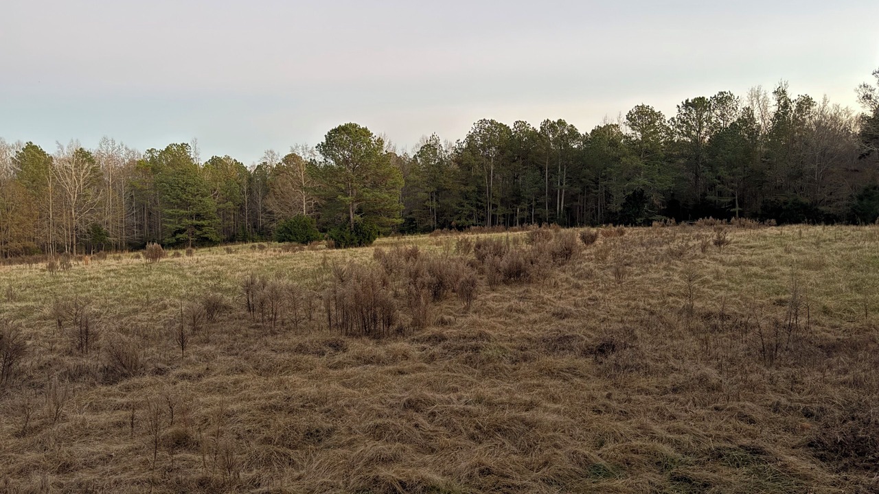 Photo of Others in Abbeville