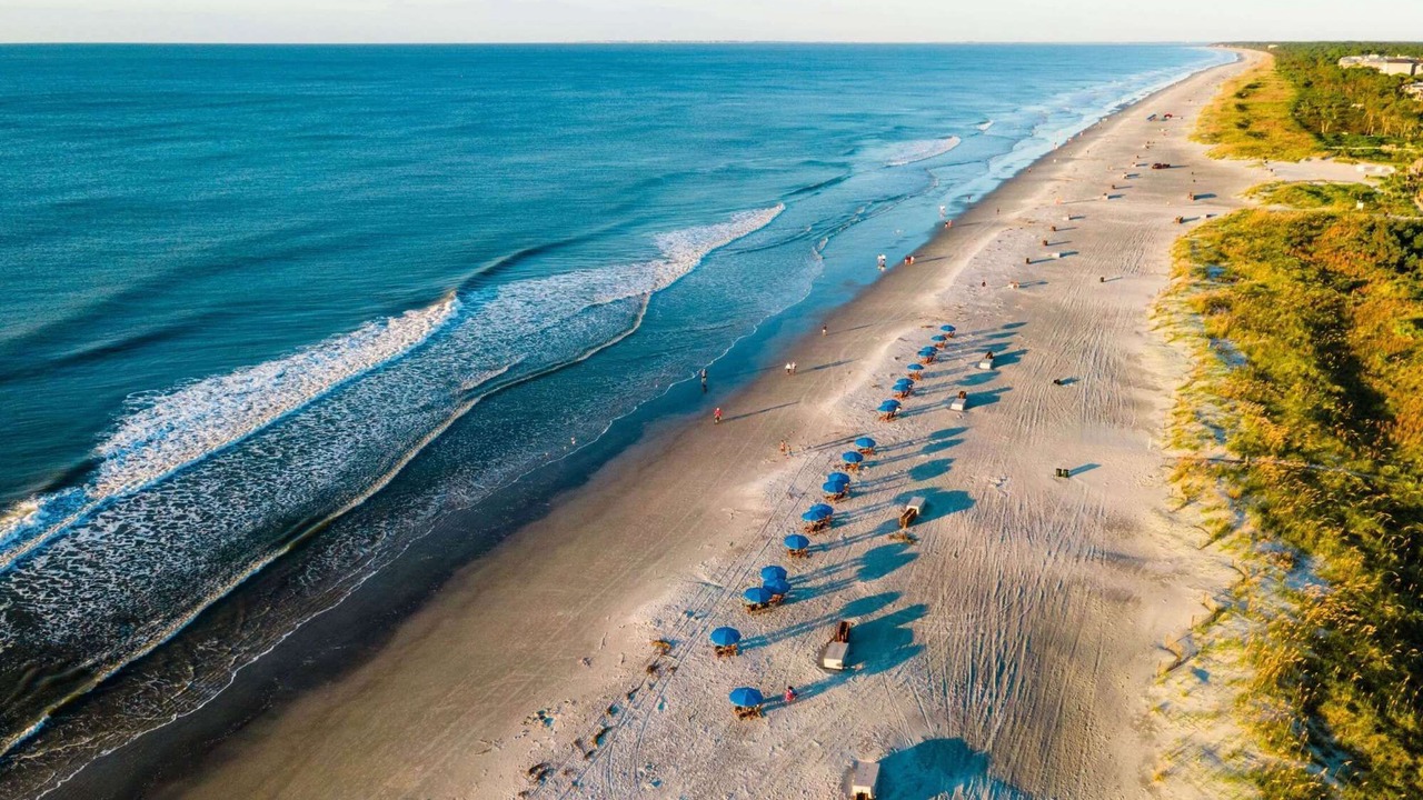 Photo of Others in North Forest Beach