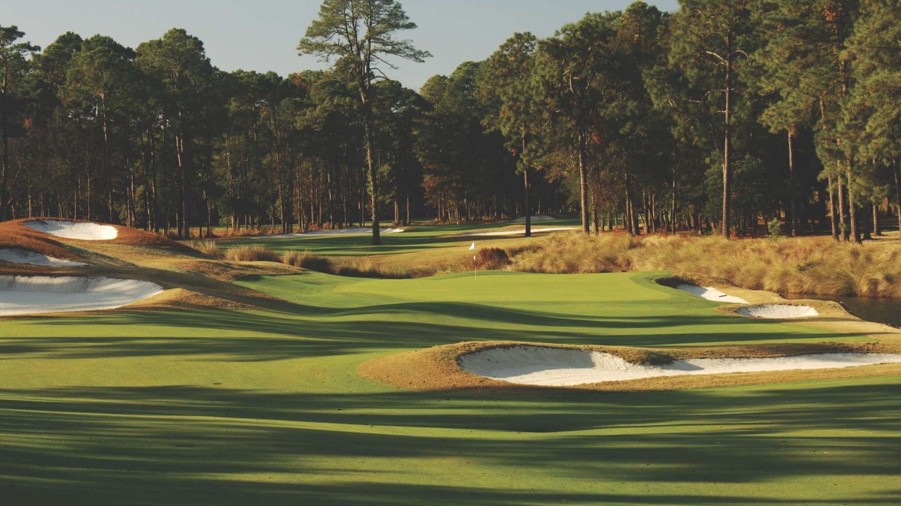Photo of Others in Palmetto Dunes