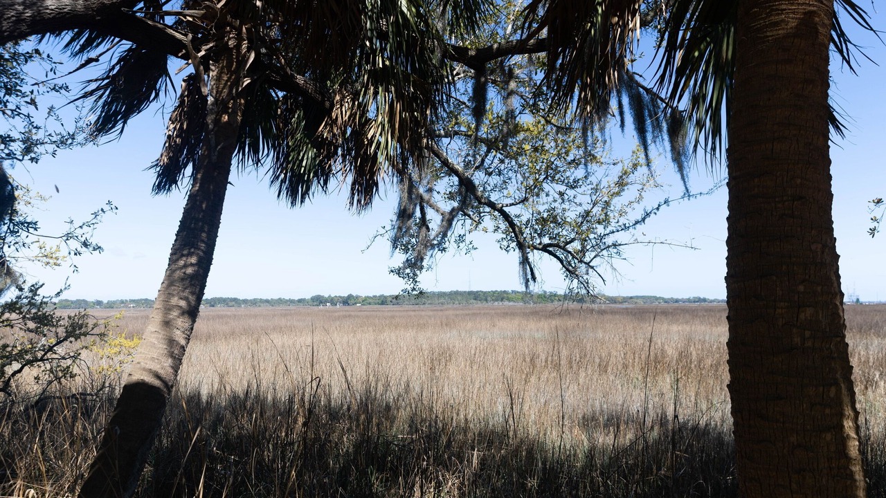 Photo of Others in Savannah