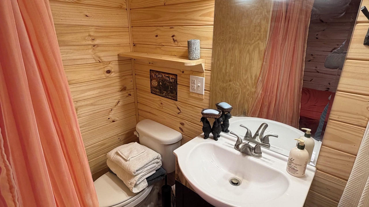 Photo of Bathroom in Enoree
