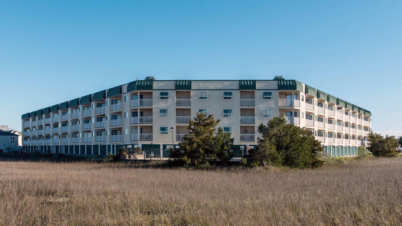 Photo of Outdoor in Edisto Island