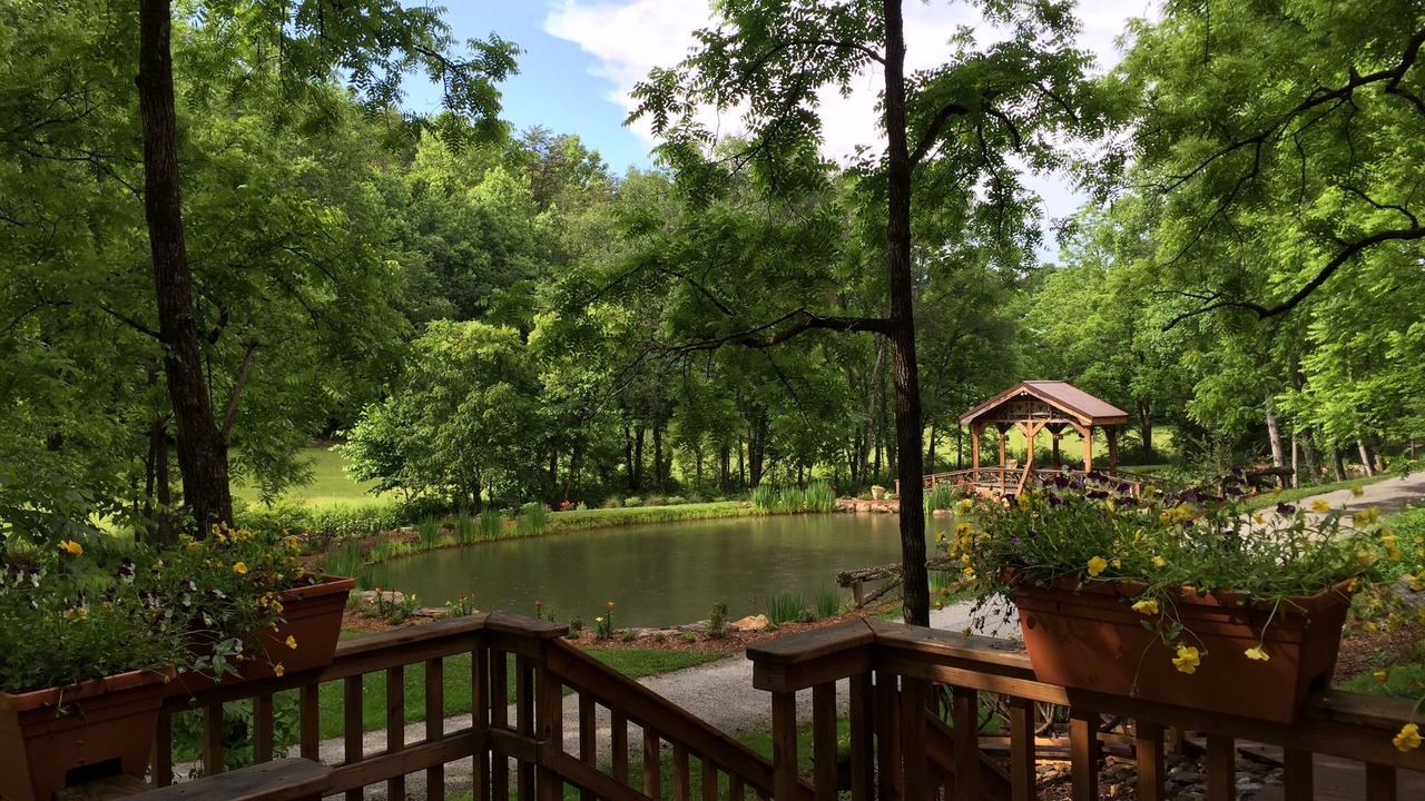 Photo of Outdoor in Pickens