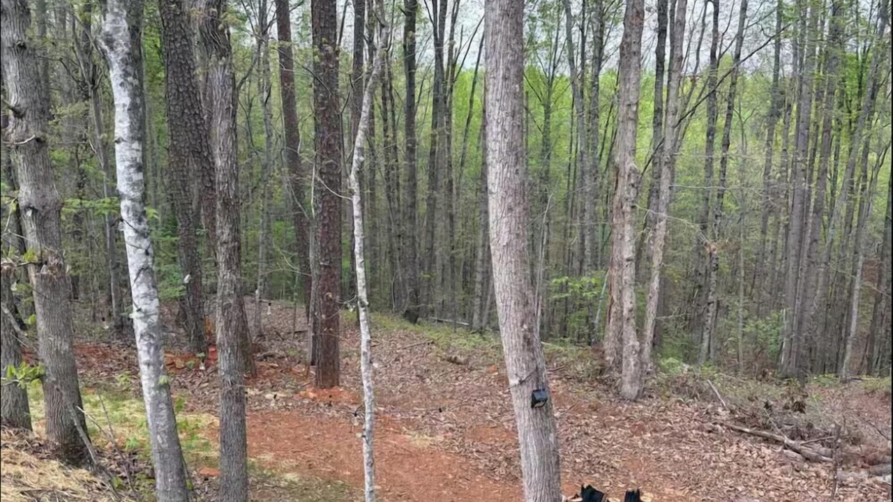 Photo of Outdoor in Salem