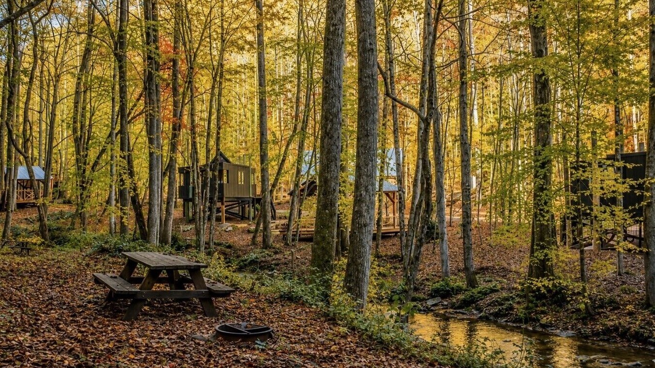 Photo of Outdoor in Brevard