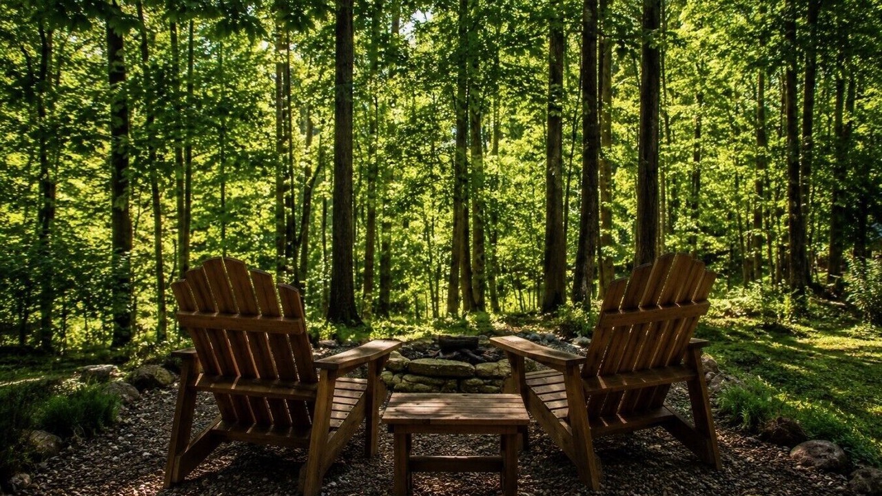 Photo of Outdoor in Brevard