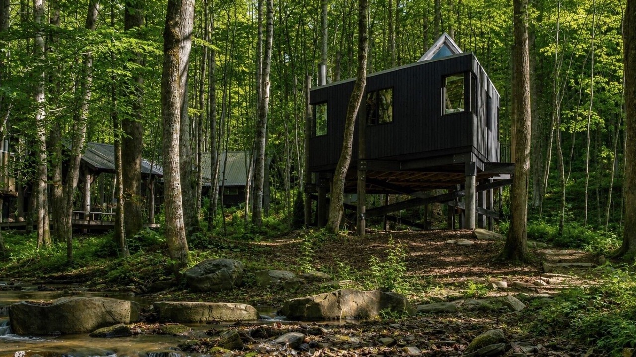 Photo of Outdoor in Brevard