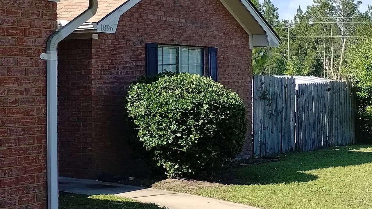 Photo of Outdoor in Hinesville