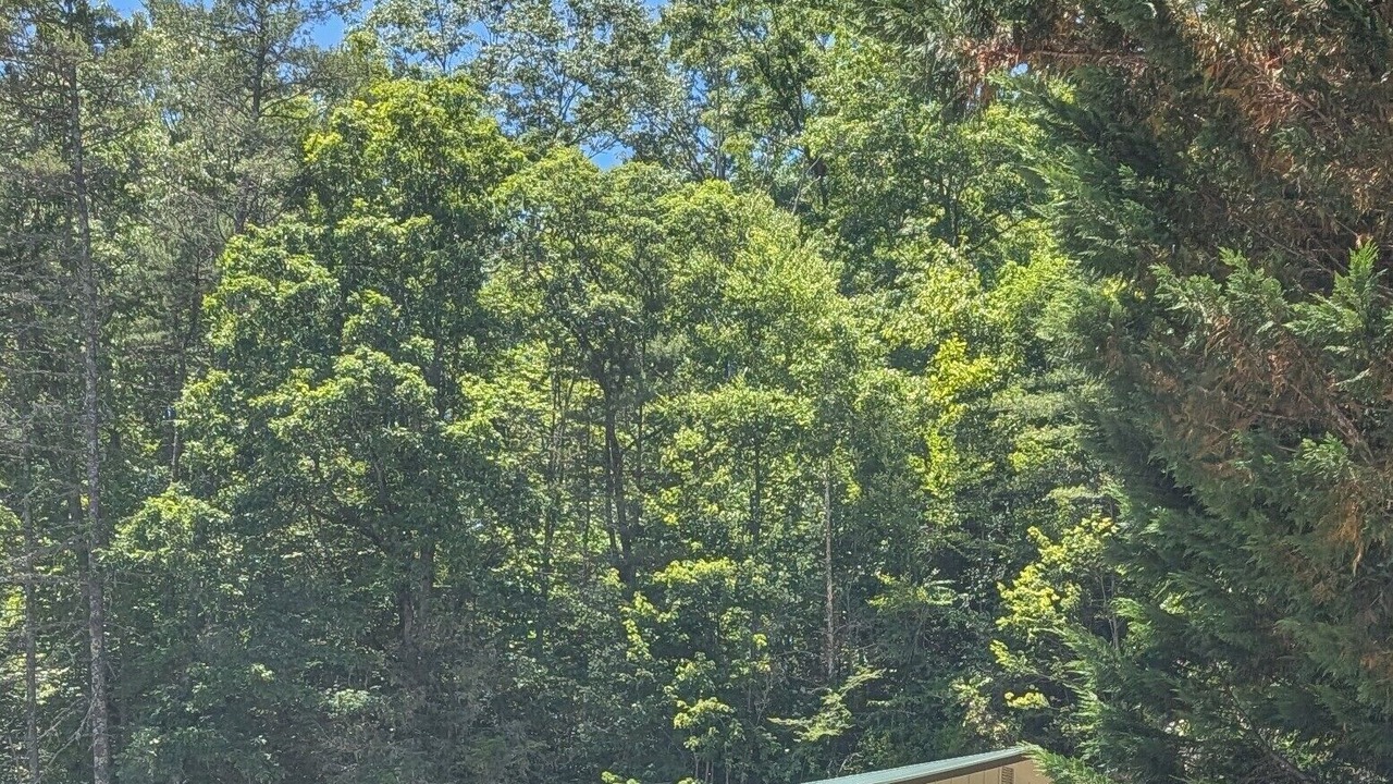 Photo of Outdoor in Lake Toxaway