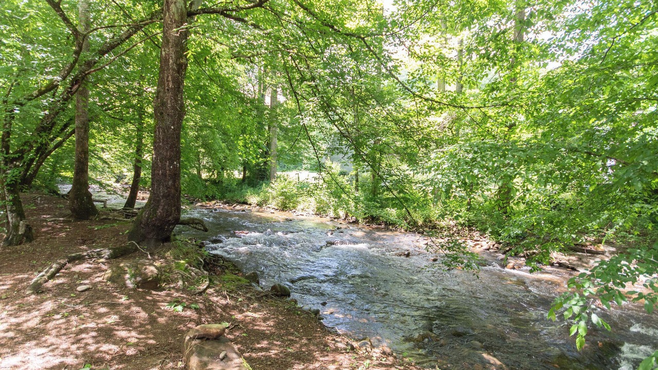 Photo of Outdoor in Franklin